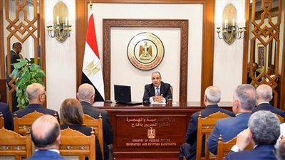 غدًا.. مباحثات مصرية - إيفوارية على مستوى وزيري الخارجية