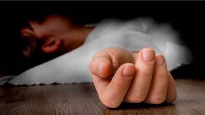 طعنة نافذة في القلب.. مصرع كهربائي على يد عامل في الزقازيق