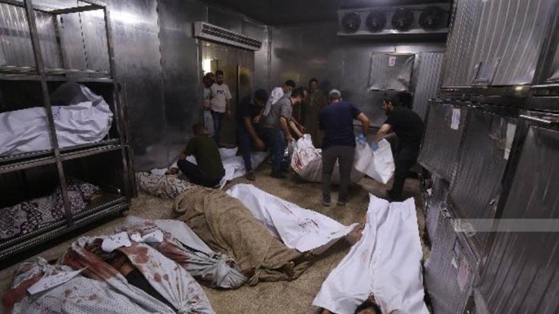 بوابة روز اليوسف