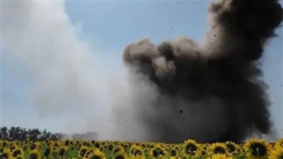 عاجل.. معركة اللحظات الأخيرة على أرض عباد الشمس