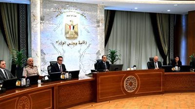 تعرف على 7 قرارات أصدرتها الحكومة اليوم 