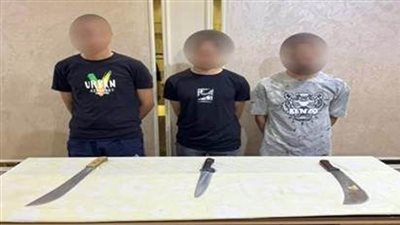 كشف ملابسات تداول فيديو بتضرر سيدة من التعدي عليها وسرقة بعض منقولاتها وإتلافها بالدقهلية