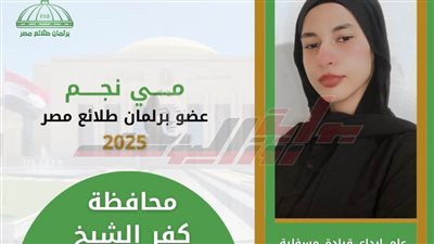 فوز أعضاء برلمان طلائع كفر الشيخ بالانضمام للجان الشؤون الصحية والصناعية والبحث العلمي 