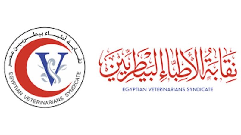 النقابة العامة للأطباء