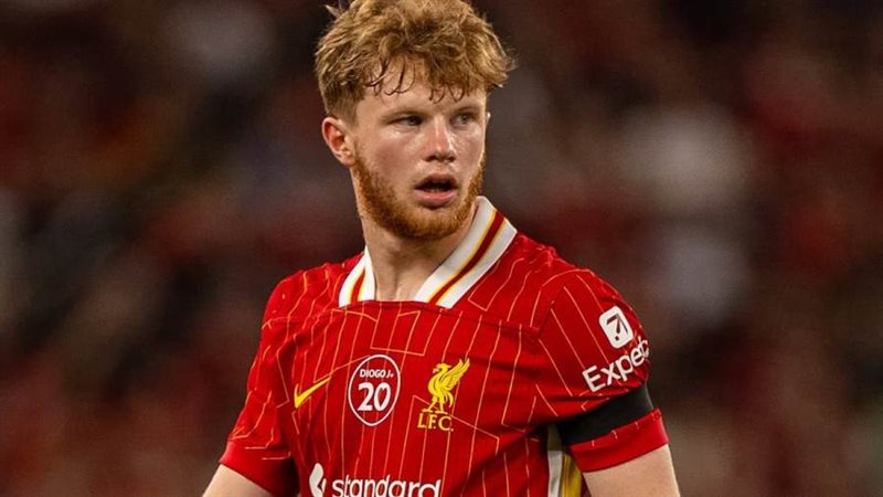 لوكا ستيفنسون