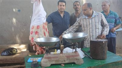 ضبط 84 مخالفة متنوعة خلال حملات تموينية وتفتيشية بمراكز المنيا