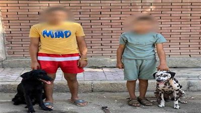 كشف ملابسات تداول فيديو بقيام شخصين برفقتهما 