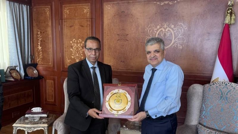 الفريق أسامة ربيع