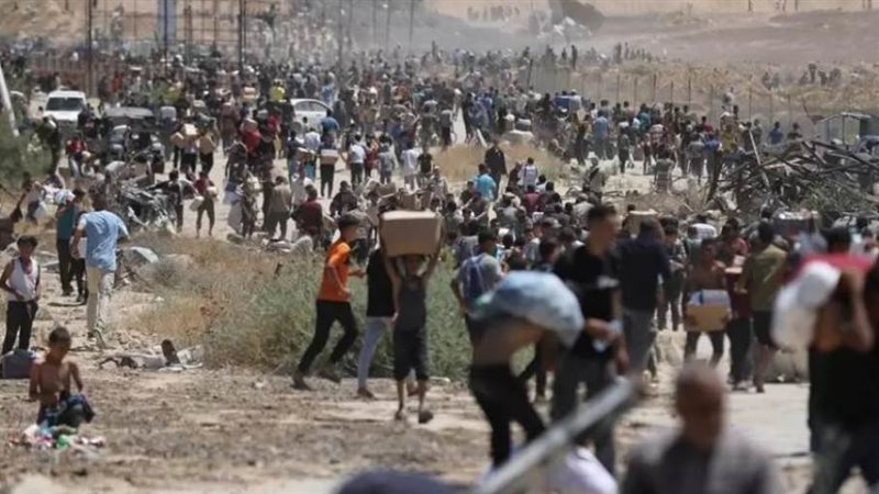 بوابة روز اليوسف