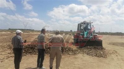  حملة مكبرة لمواجهة الصيد الجائر وإزالة مناشر الأسماك بكفر الشيخ