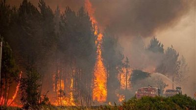 موجات الحر والجفاف تحوّل أوروبا إلى بؤرة حرائق هي الأشد تدميرًا منذ نحو عقدين