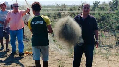 وزارة البيئة: إزالة كميات كبيرة من شباك صيد الطيور المهاجرة بشمال محمية البرلس