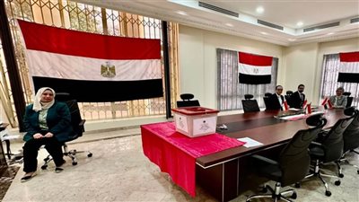 استمرار فتح لجان الاقتراع أبوابها للمصريين بالخارج فى 24 دولة بإفريقيا وأوروبا