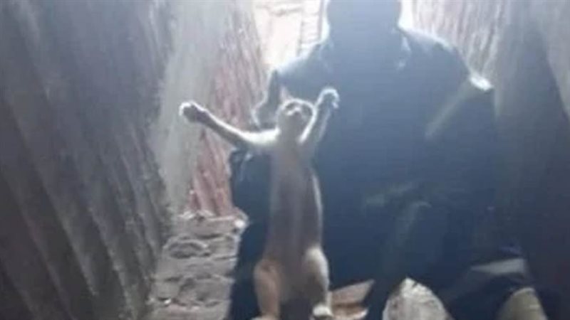 شرطة النجدة تنقذ