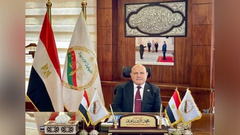 المستشار محمد الشناوي