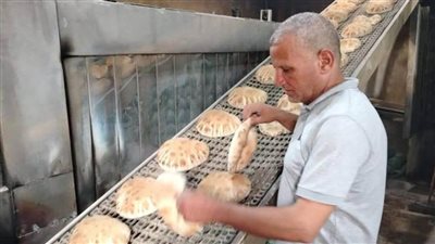 الإسكندرية: تكثيف الحملات على المخابز البلدية والأسواق