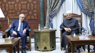 شيخ الأزهر لرئيس وزراء لبنان: مستعدون لاستضافة أئمة لبنان سنة وشيعة في أكاديمية الأزهر