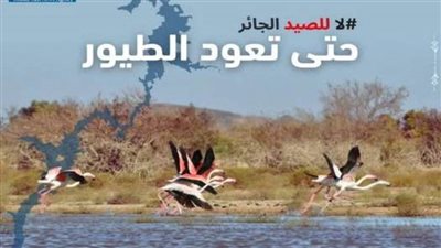 جهود حثيثة لمنع الصيد الجائر ببحيرة ناصر