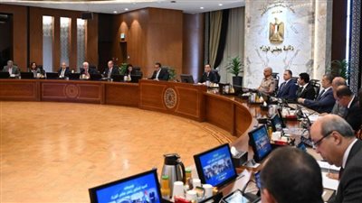 تعرف على 5 قرارات حكومية اليوم 