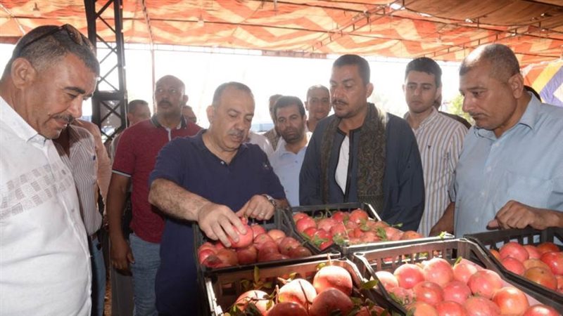 محافظ أسيوط يتفقد