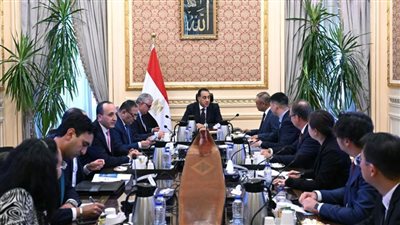 مدبولي يلتقي رئيس شركة 