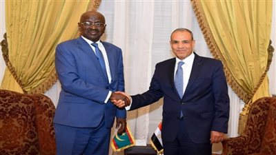 وزير الخارجية ونظيره الموريتاني يؤكدان ضرورة وقف العدوان على قطاع غزة