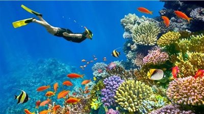 شرم الشيخ ضمن أفضل 20 وجهة سياحية عالميًا لشهر نوفمبر 2025