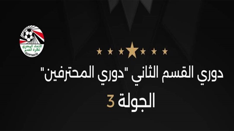 دوري المحترفين