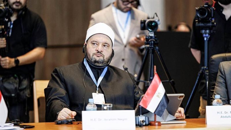 إبراهيم نجم