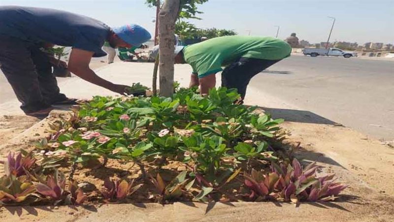 مبادرة ١٠٠ مليون