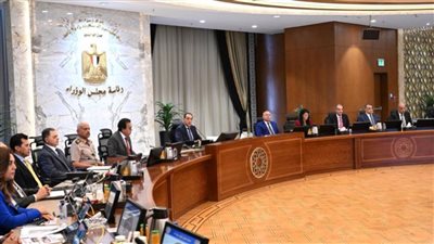 مجلس الوزراء يُدين الاعتداء السافر الذي تعرضت له دولة قطر الشقيقة