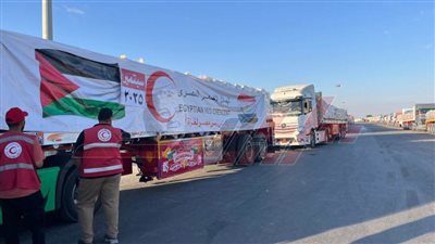 الهلال الأحمر المصري يدفع بـ 2500 طن مساعدات غذائية وطبية إلى غزة 