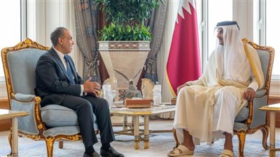 وزير الخارجية ينقل رسالة تضامن ودعم من الرئيس السيسي إلى أخيه أمير دولة قطر الشقيقة