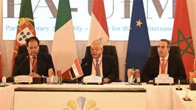 جبالي: البرلمان المصري يتولى رئاسة الجمعية البرلمانية للاتحاد من أجل المتوسط