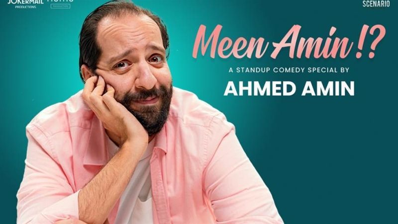 الفنان أحمد أمين