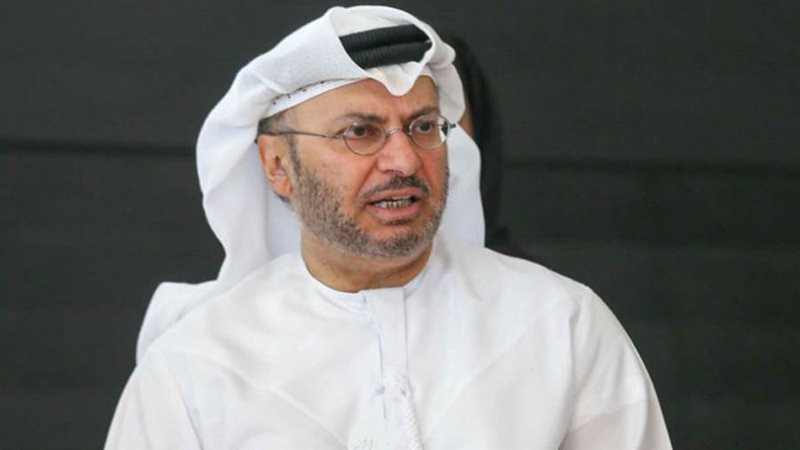 الدكتور أنور محمد