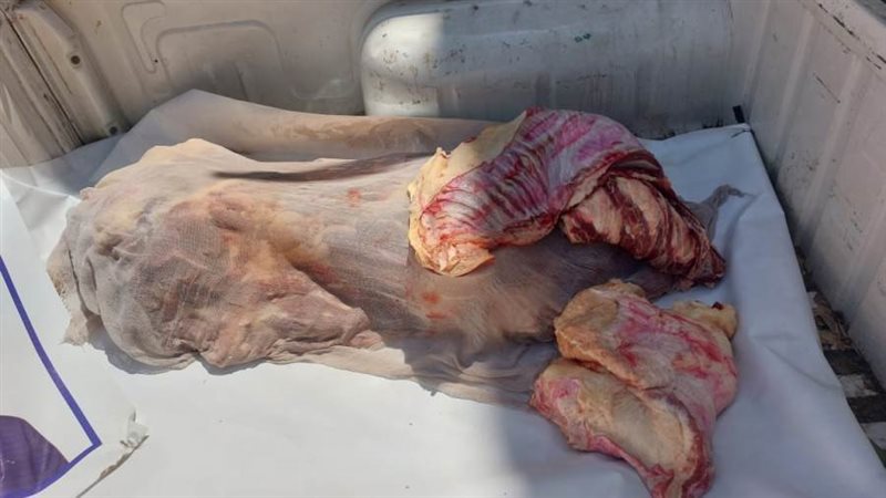 اللحمة المضبوطة