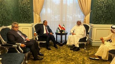 وزير الخارجية والهجرة يلتقي نظيره الكويتي