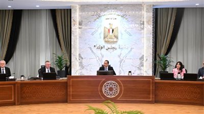 رئيس الوزراء يستقبل نائب رئيس الوزراء الروسي والوفد المرافق له