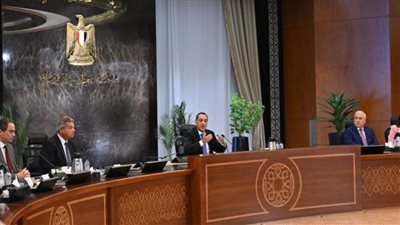 رئيس الوزراء: نواجه حرب شائعات للتشكيك فيما تقدمه الدولة