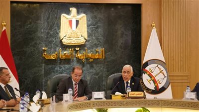 لقاء عاجل بين النائب العام ووزير المالية.. حصر المضبوطات وتسوية المنازعات الضريبية 