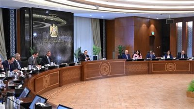 مدبولي: 7 ملايين أسرة مصرية استفادت من برنامج 