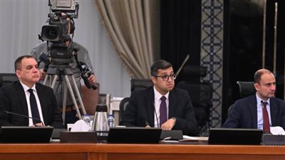 مدبولي: آليات 