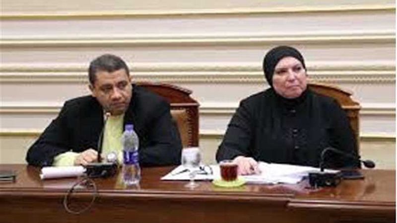 لجنة المشروعات توافق