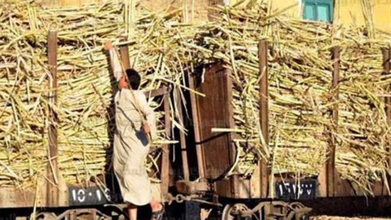 وزير التموين: استلام