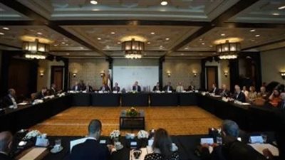 ملك إسبانيا يبحث مع رجال أعمال مصريين تعزيز دور القطاع الخاص