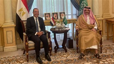 وزير الخارجية يجري مباحثات مع نظيره السعودي