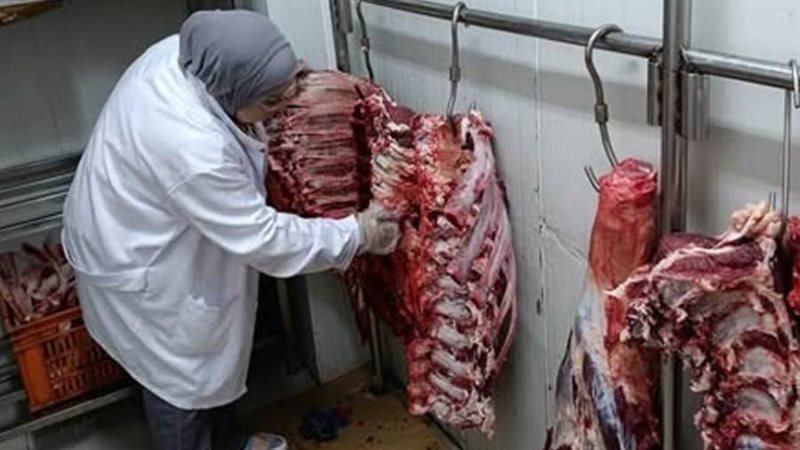 الحملات الرقابية