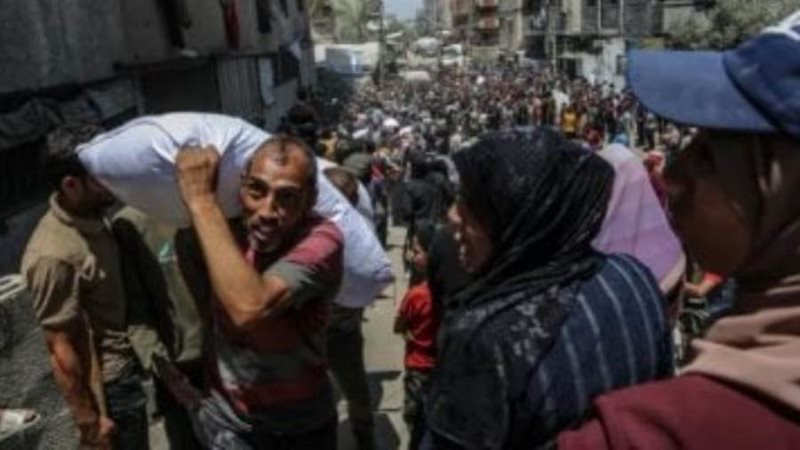 بوابة روز اليوسف