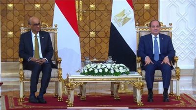 الرئيس السيسي يشهد توقيع مذكرة تفاهم بين الأكاديمية الوطنية للتدريب وكلية الخدمة المدنية السنغافورية